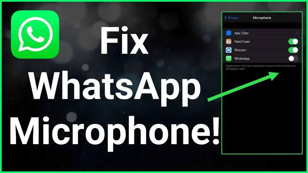 How do I fix my microphone on WhatsApp video call?