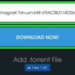 How do I open a torrent file on my Android phone?