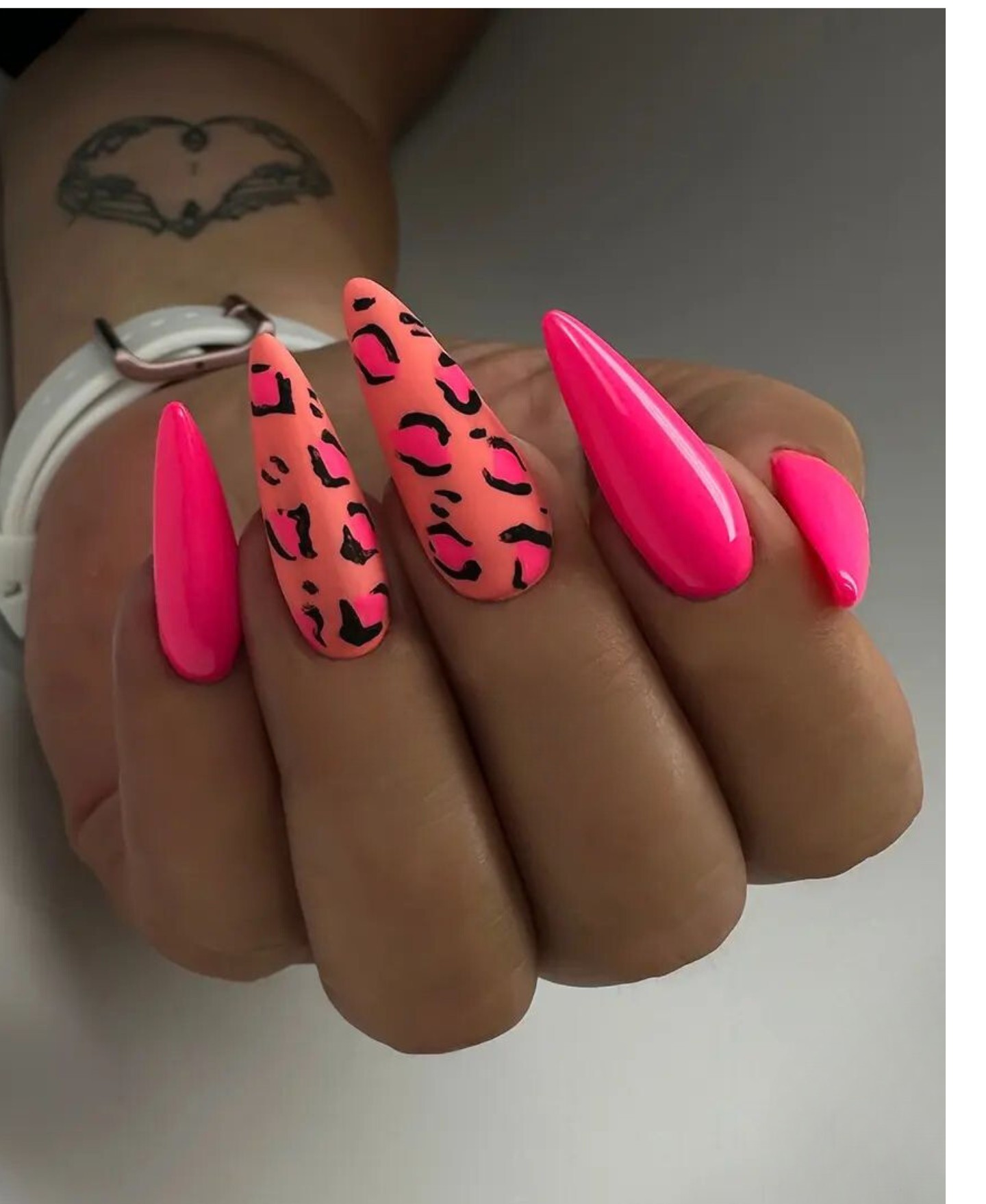 Radiant Pink and Animal Print