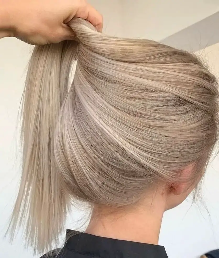 Chic Blonde Ponytail