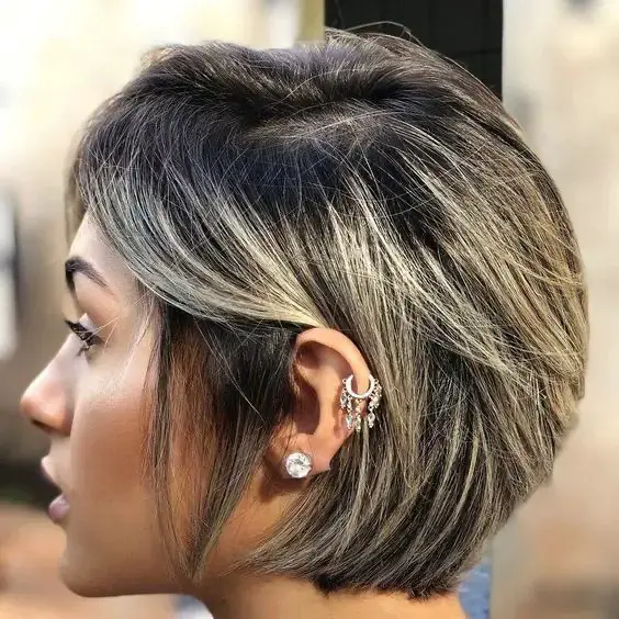 High-Contrast Pixie Bob