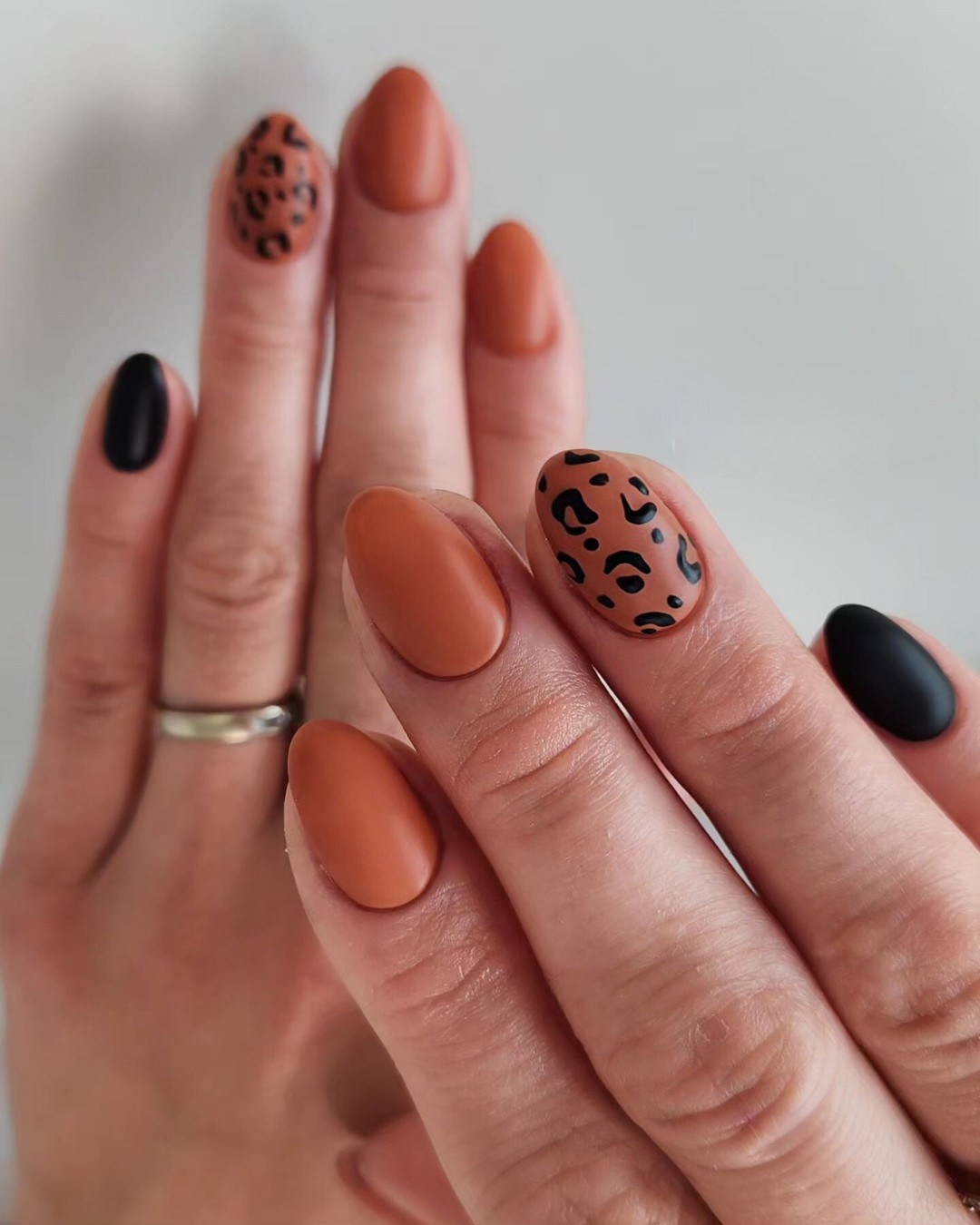 Leopard Luxe: Wildly Sophisticated