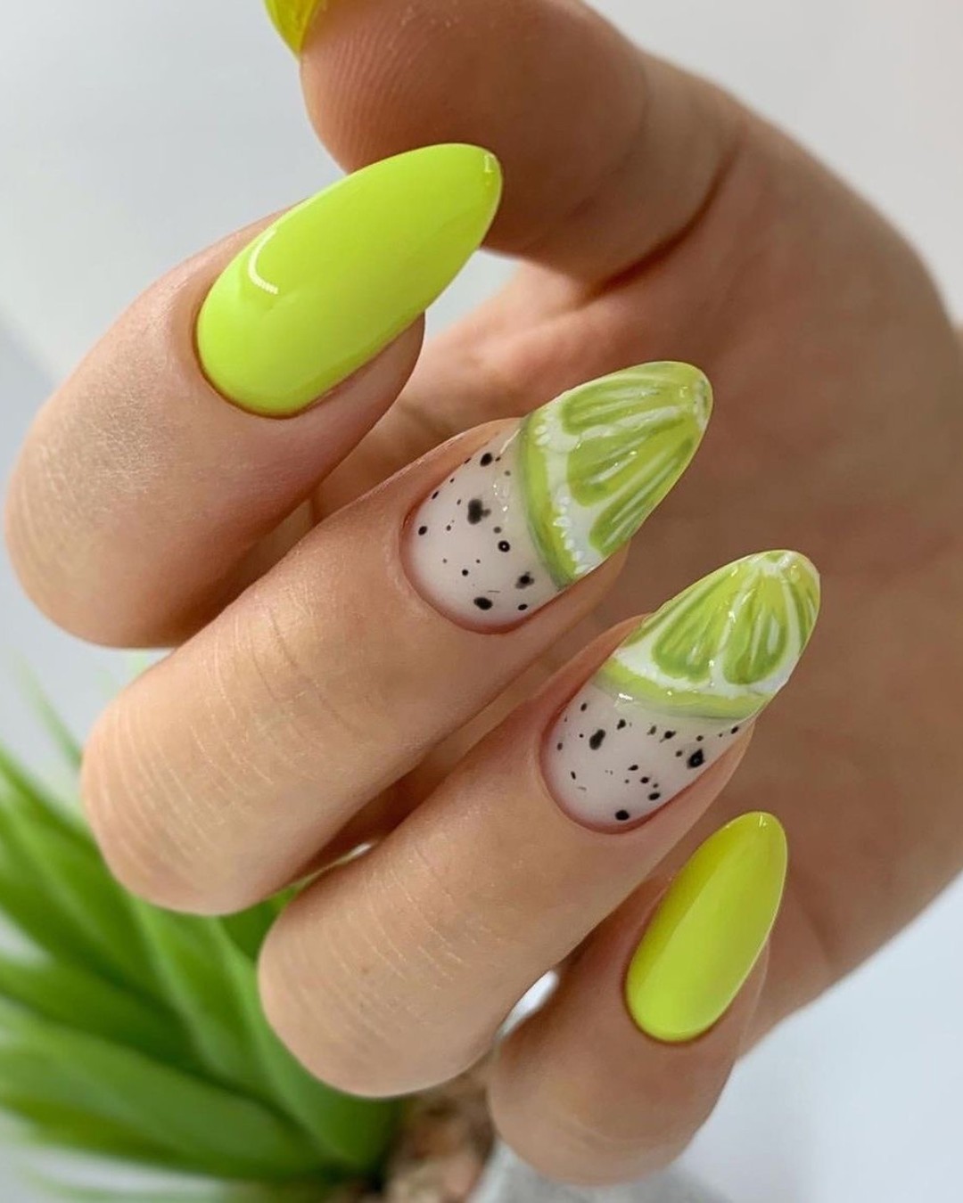 Kiwi Kiss