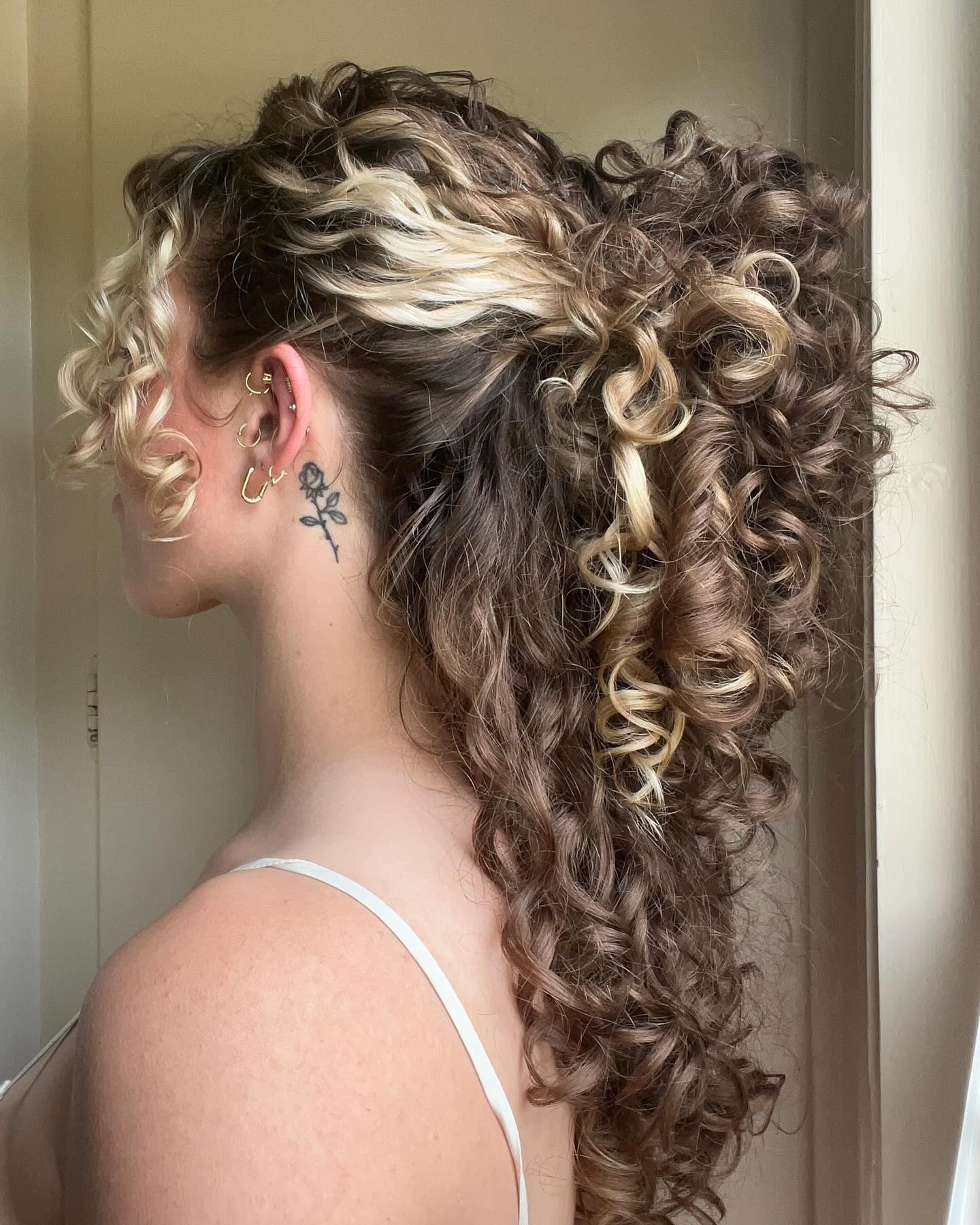 Elegant Braids with Curls