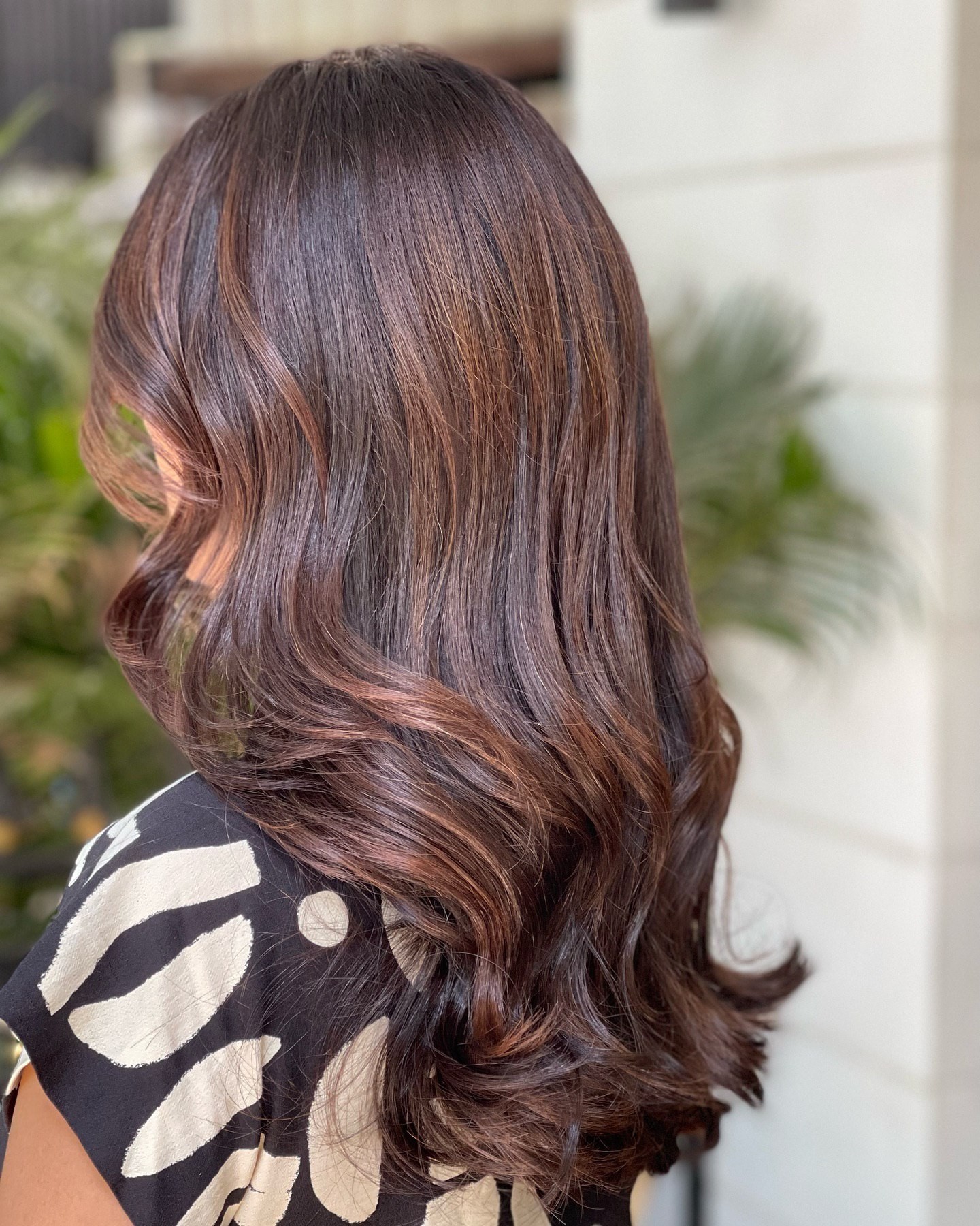 Chocolate Brown with Subtle Highlights