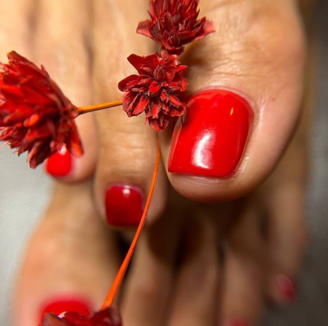 Bright Red Elegance