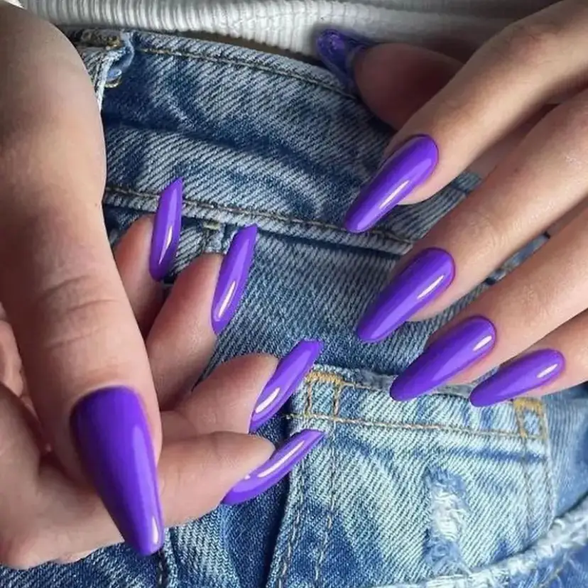 Vibrant Purple Statements