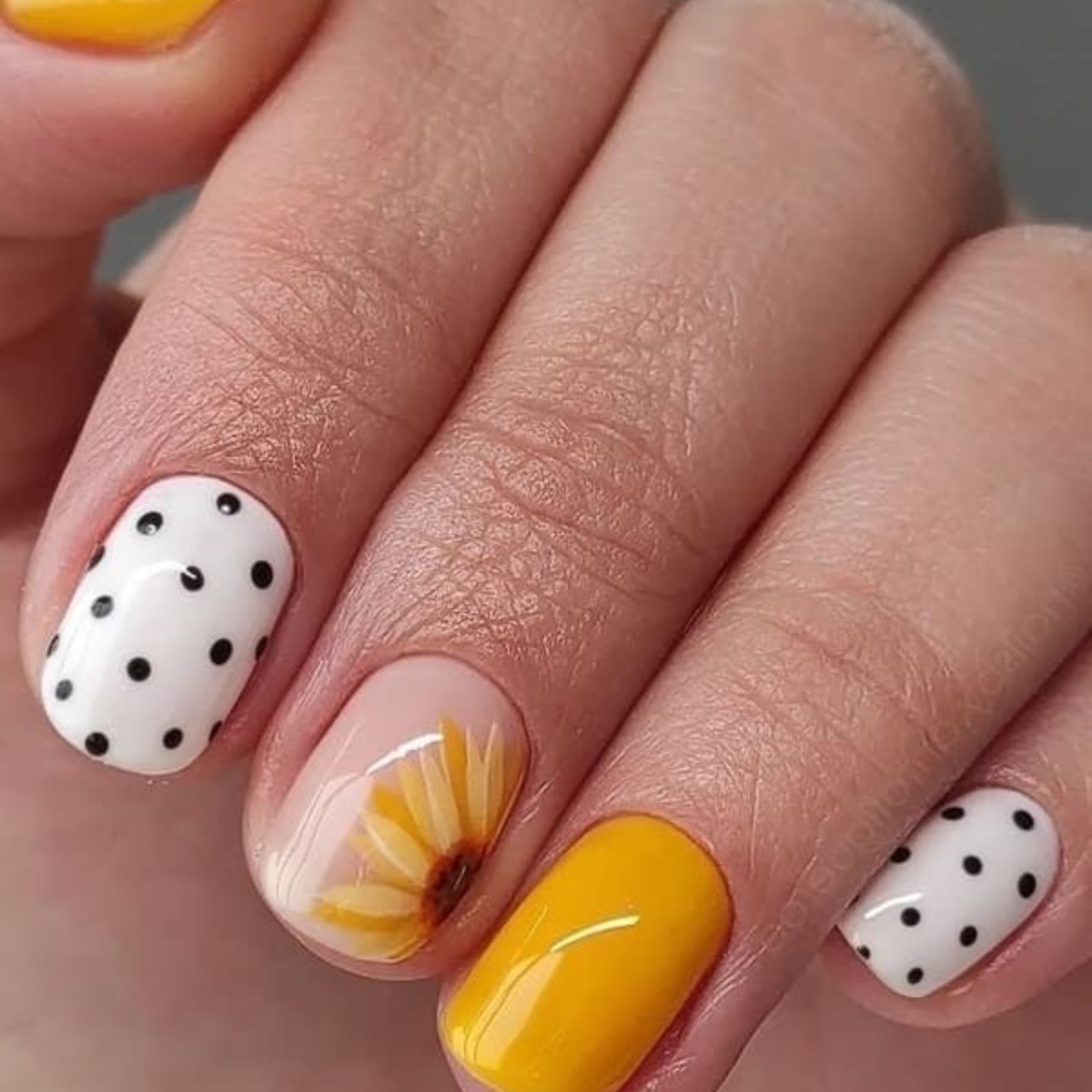 Polka Dots and Sunbursts