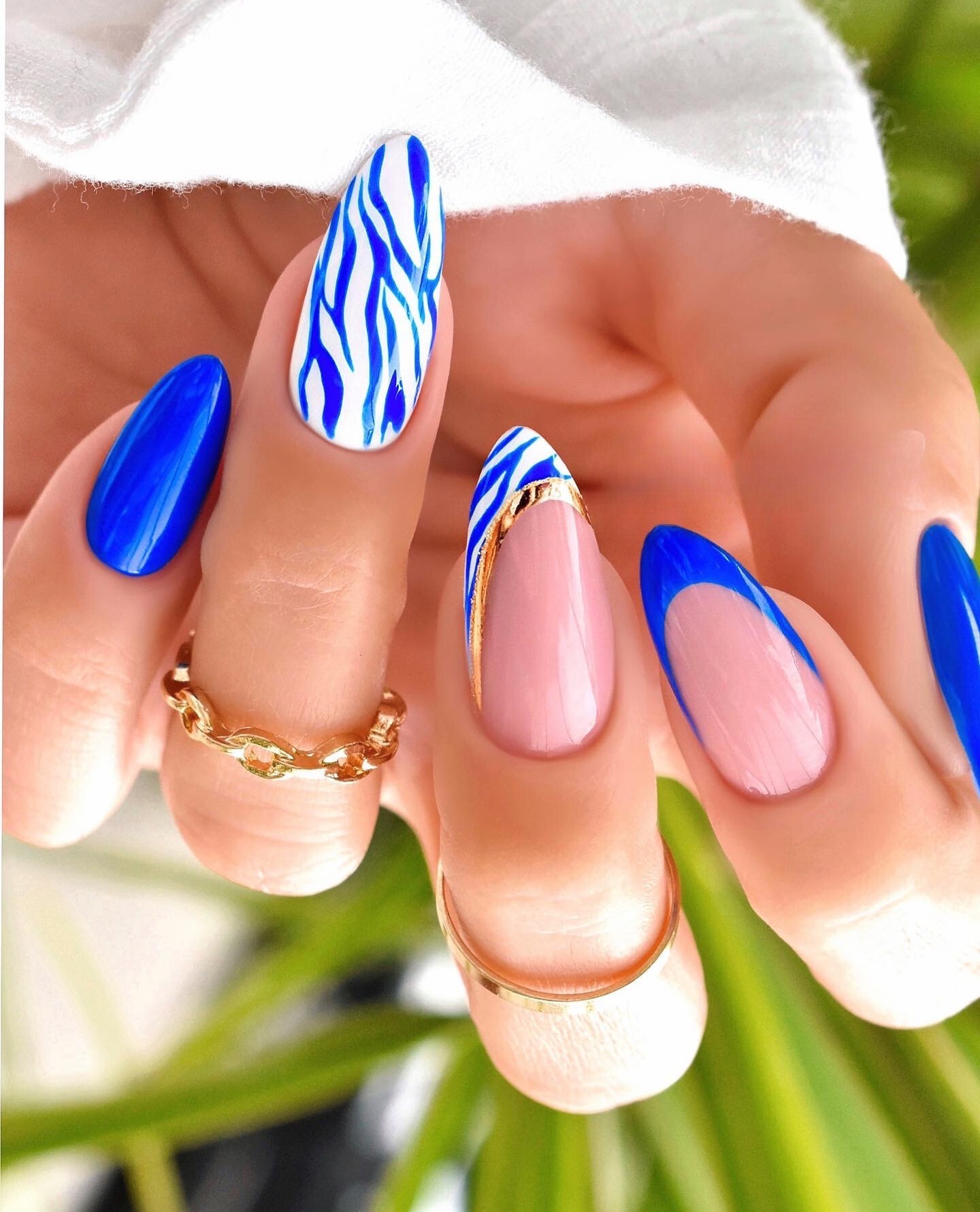 Zebra Print and Electric Blue