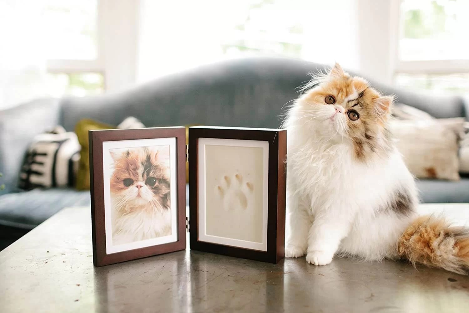 Paw Imprint Keepsake and Picture Frame