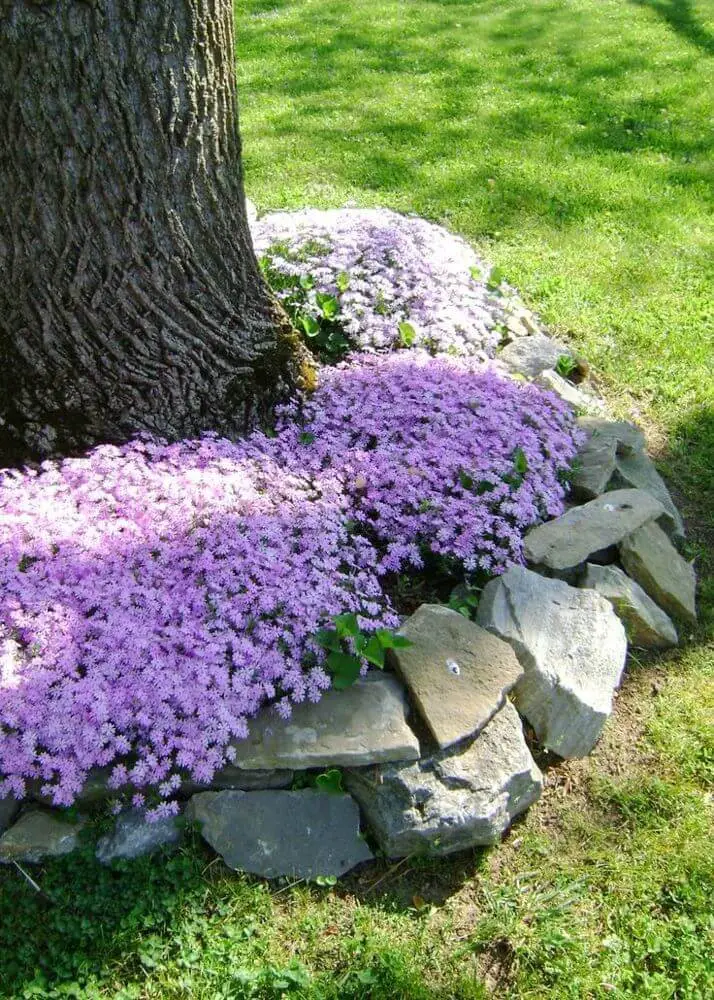 Flowers and Natural Stones Around a Tree