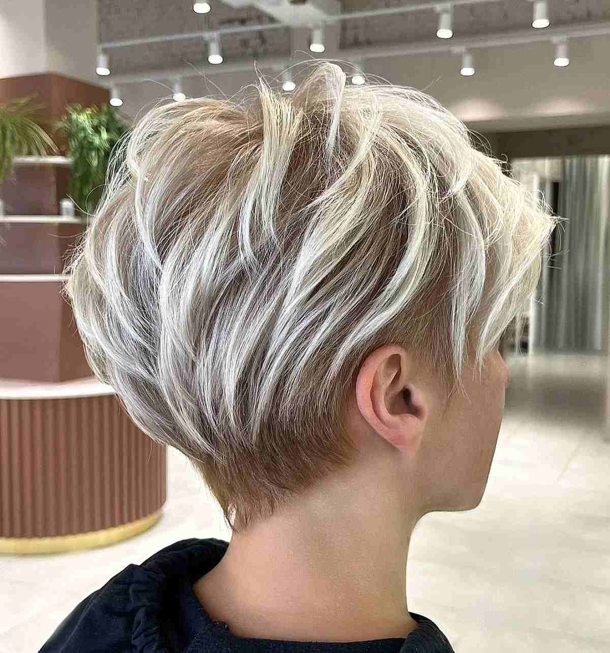 The Textured Pixie-Bob