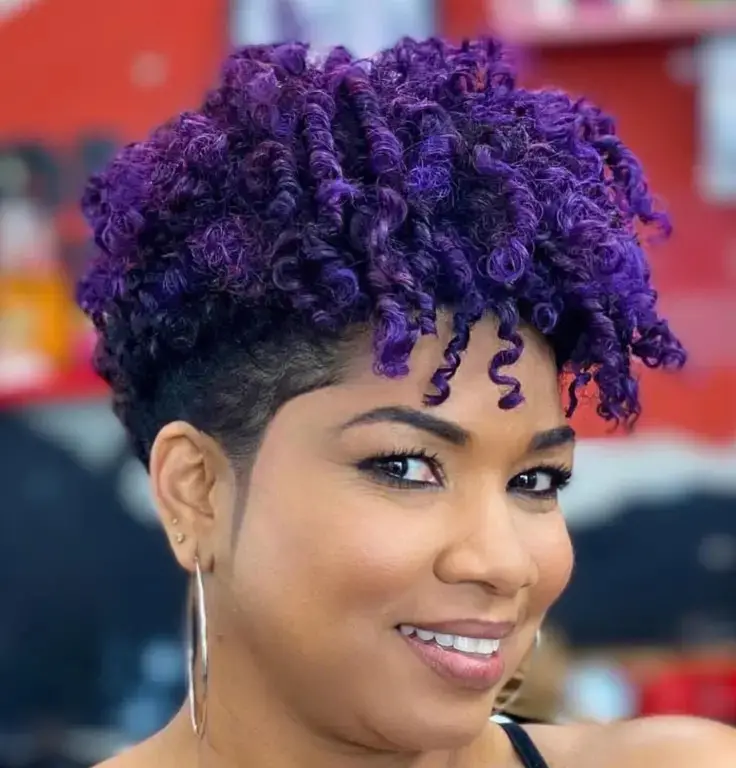 The Purple Passion Twist-Out