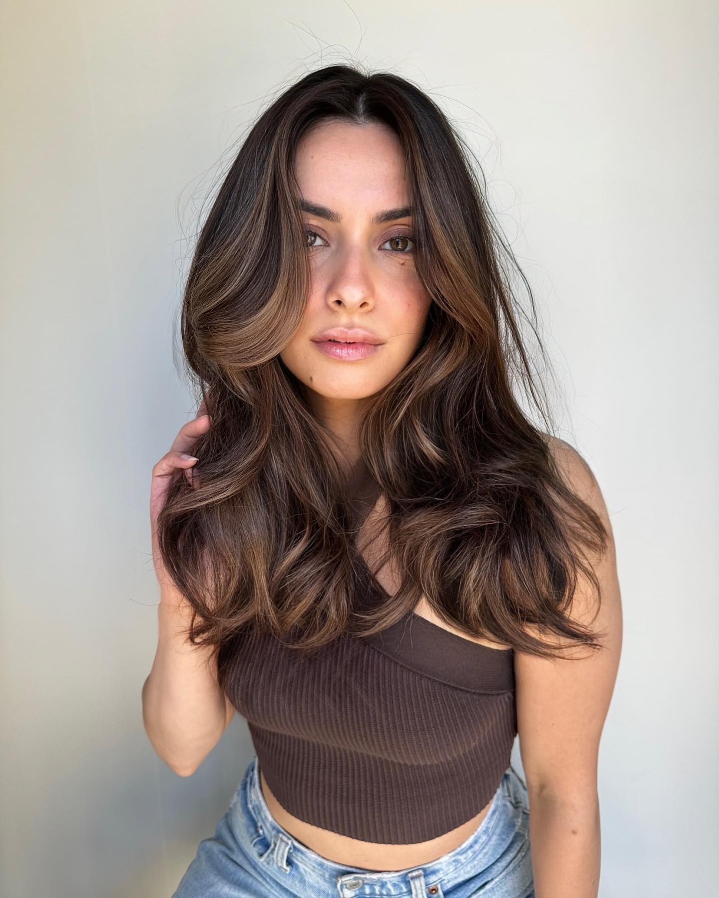 Classic Brunette with Subtle Highlights