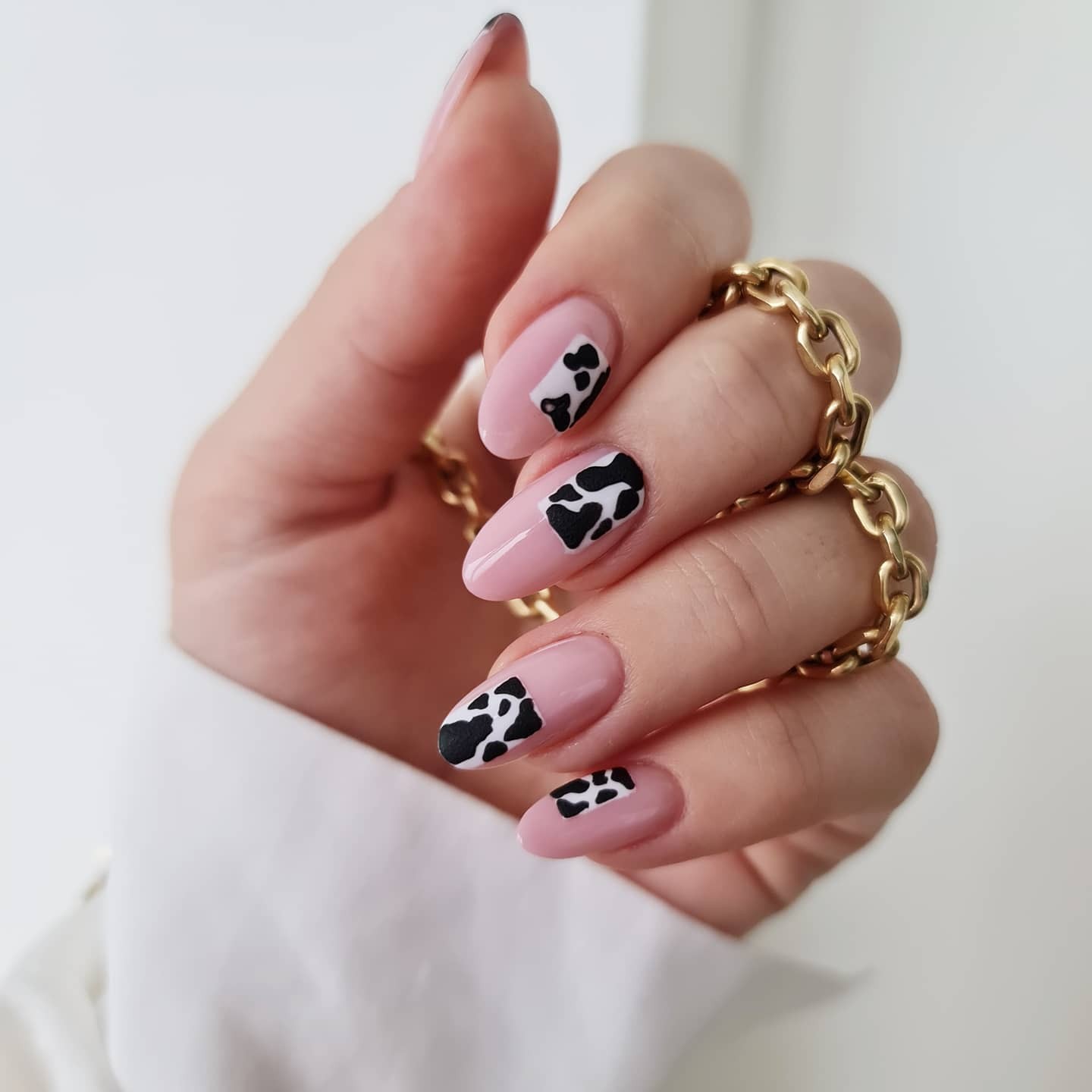 Animal Print Edges