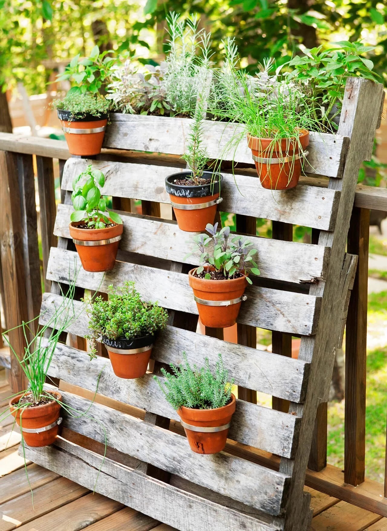 Palette and Pot Planter for Small Spaces