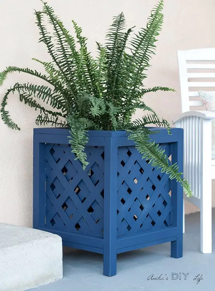 Lattice Planter as an Accent Piece