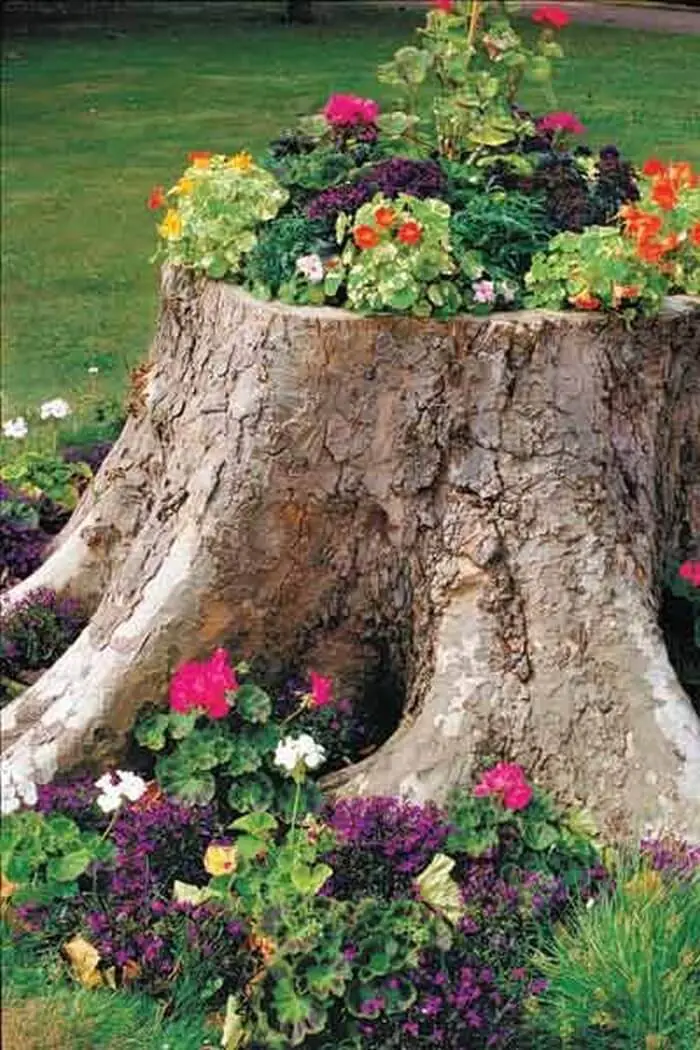 Tree Stump Planter