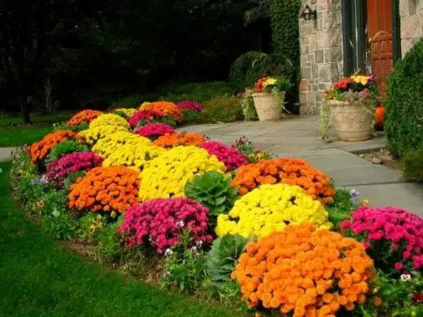 Flashy Fall Flowers