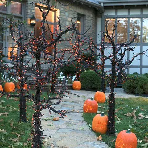 Pretty Pumpkin Path