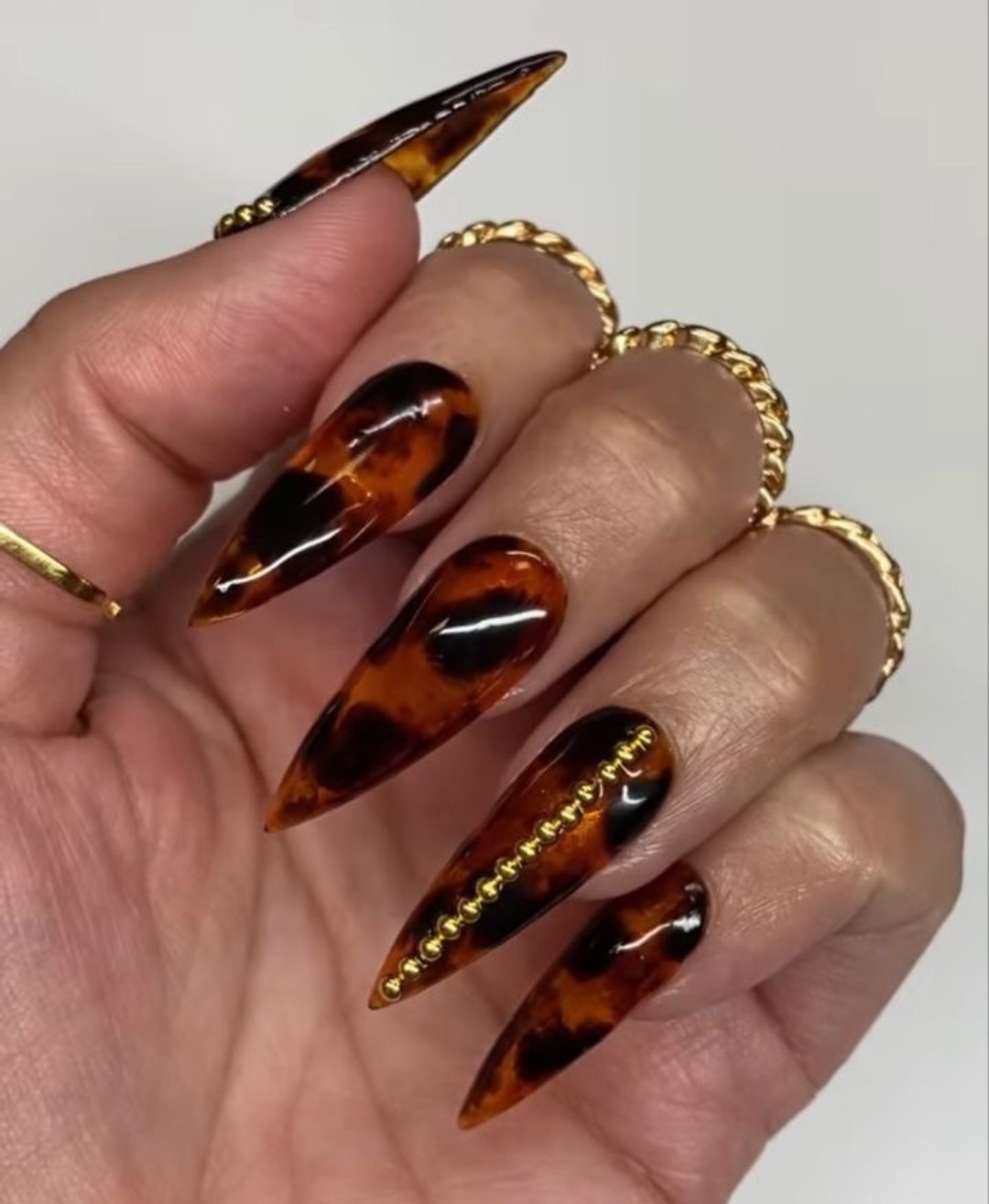 Opulent Tortoiseshell with Gold Trim