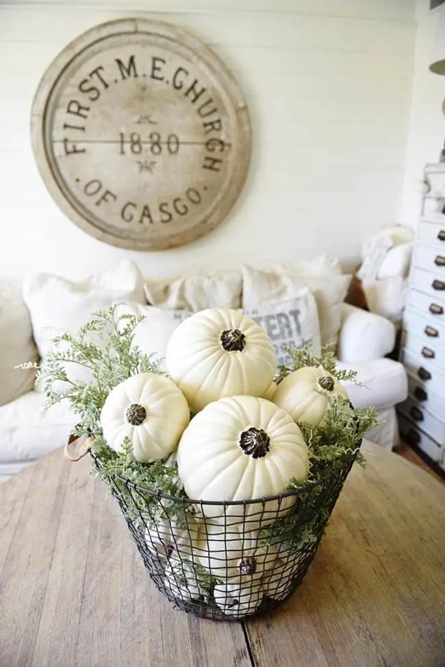 A Simple Wire Basket Filled with Pumpkins