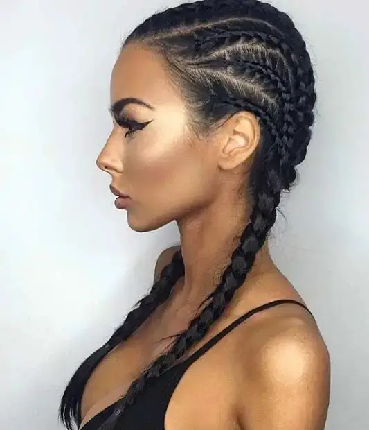 The Sleek and Chic Double Braids