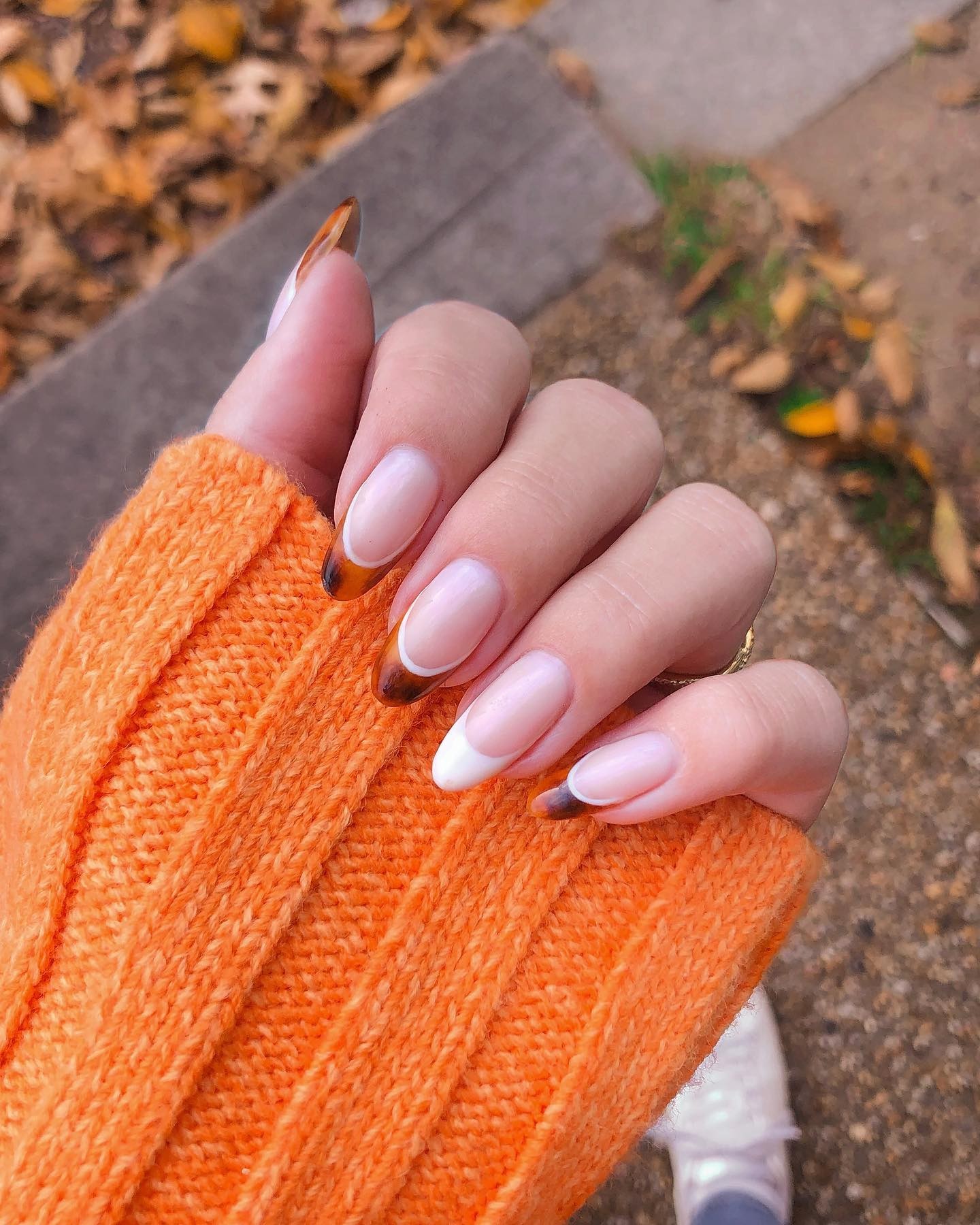 Fall Gradient: Sunset Hues