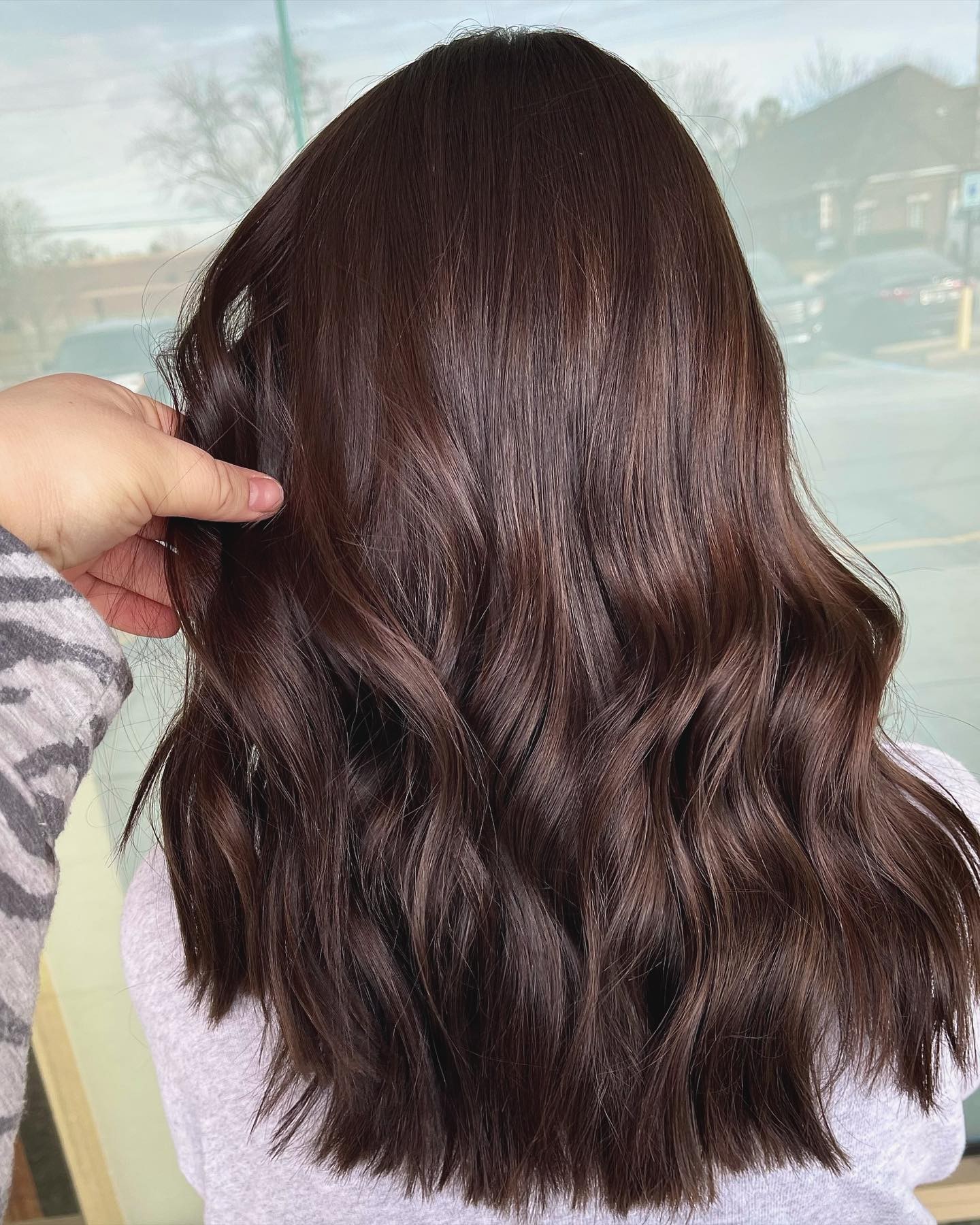 Lush Chocolate Tresses with Subtle Sunlit Undertones