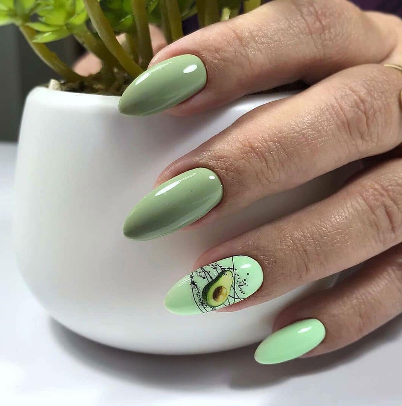 Avocado Accents