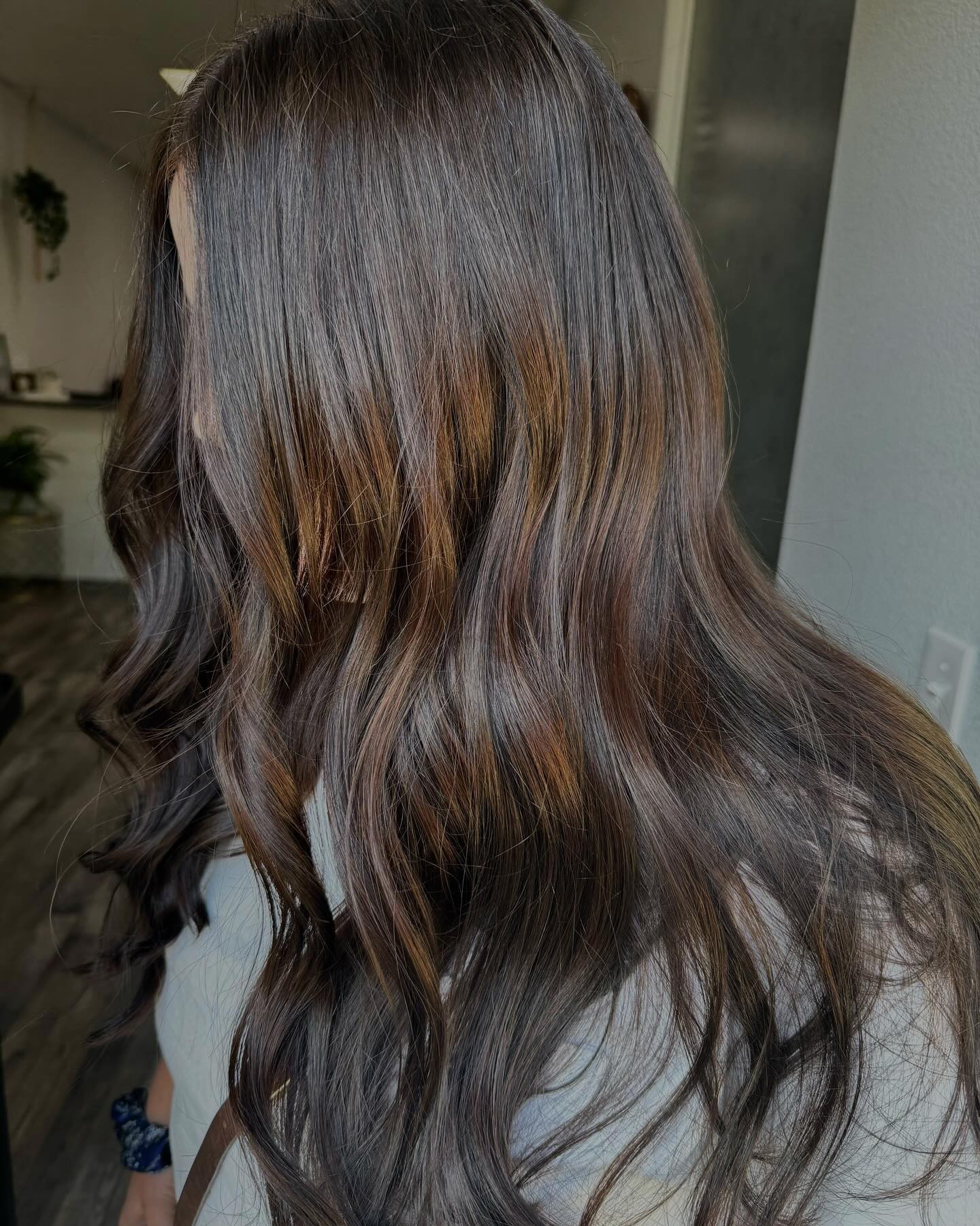 Warm Chestnut with Sun-Kissed Highlights