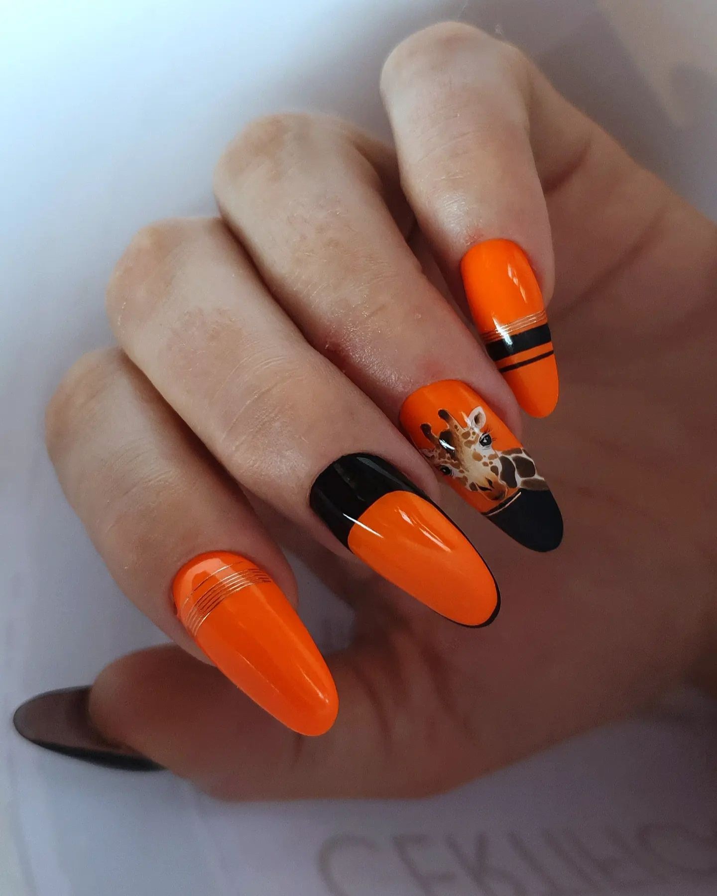 The Bold Fusion of Orange and Animal Print