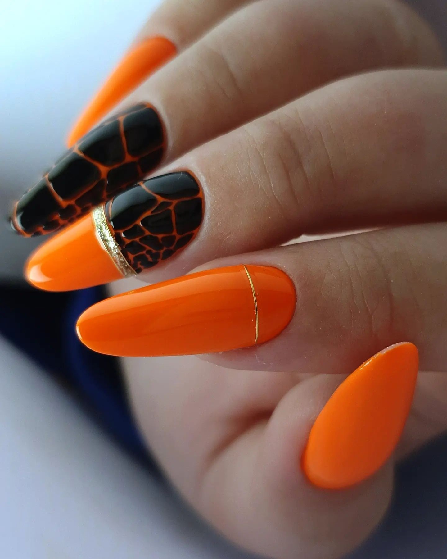 The Dark Elegance of Orange and Black