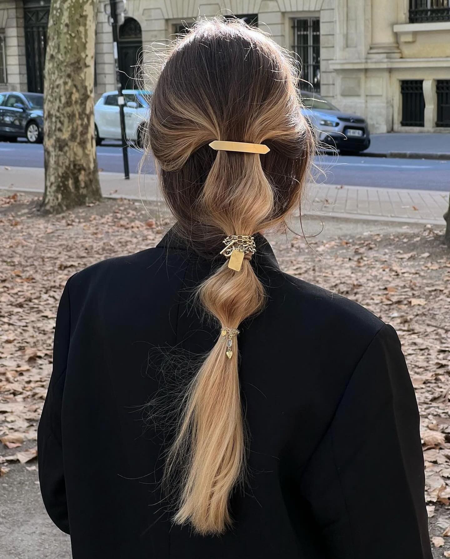 Chic Ponytail with Gold Accessories