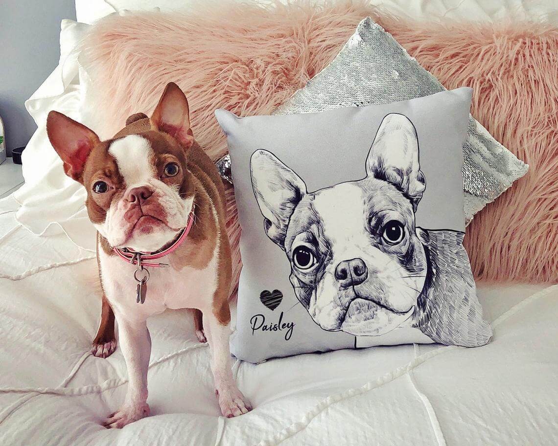 Custom Artistic Portrait Pet Pillow