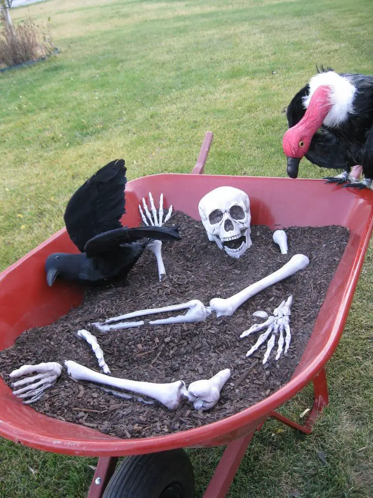 Wheelbarrow of Bones