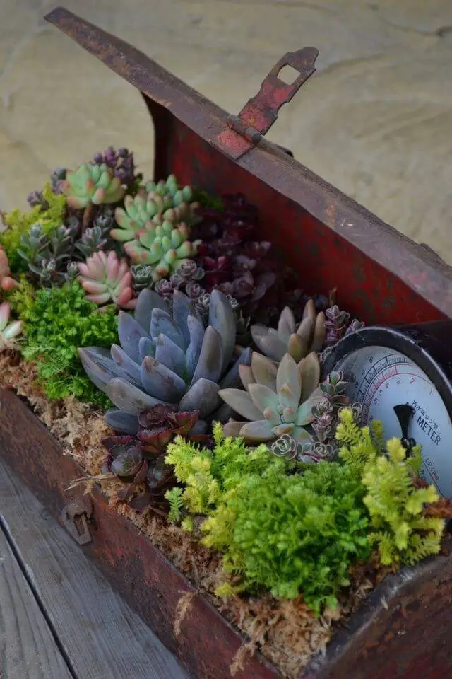 Antique Metal Tool Box Planter