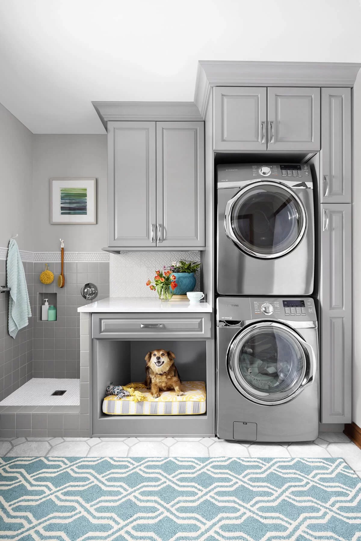 Laundry Room for Clothes and Pet Cleaning