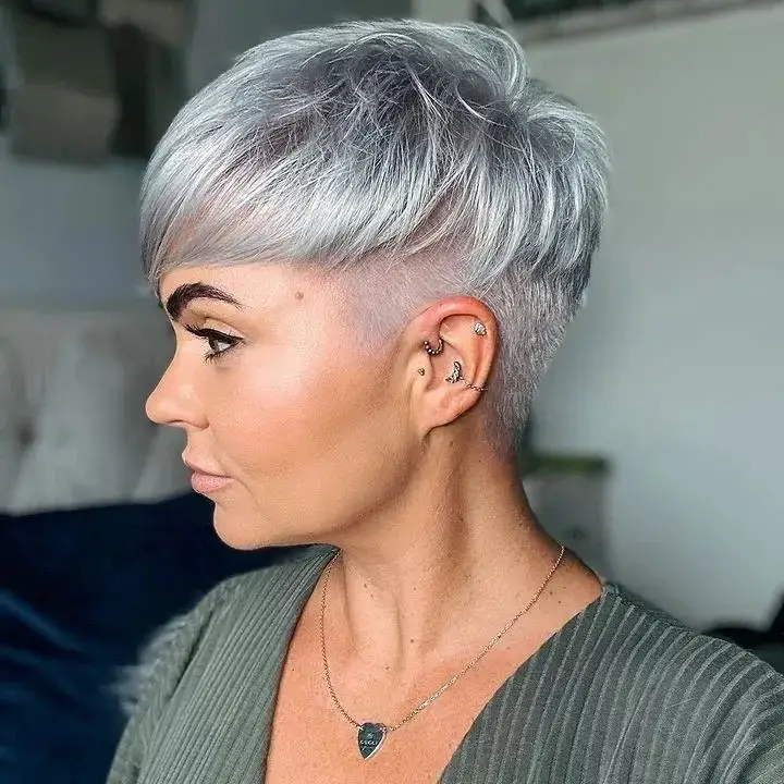 The Silver Pixie Dream