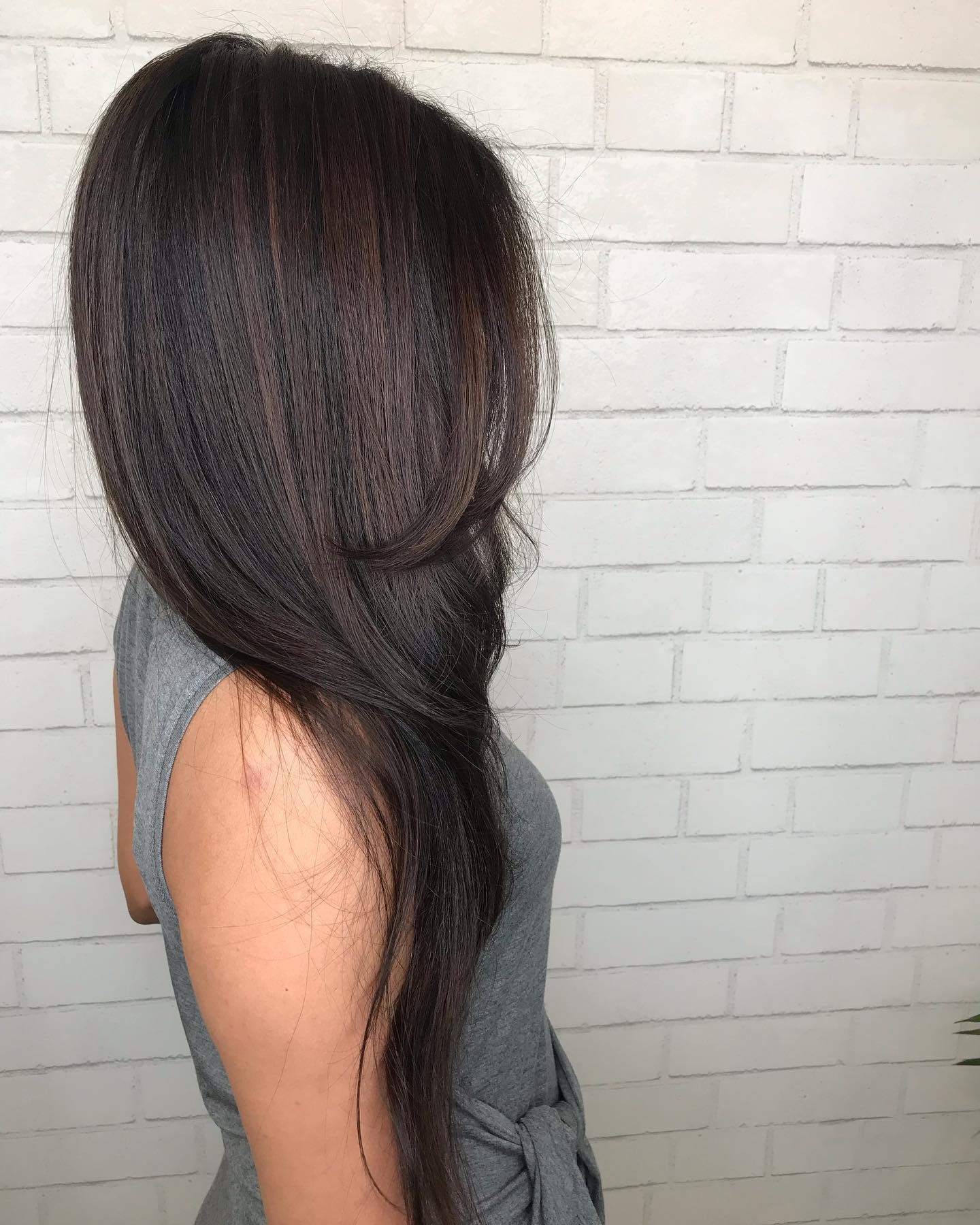 Glossy Jet Black with Long, Luxurious Layers