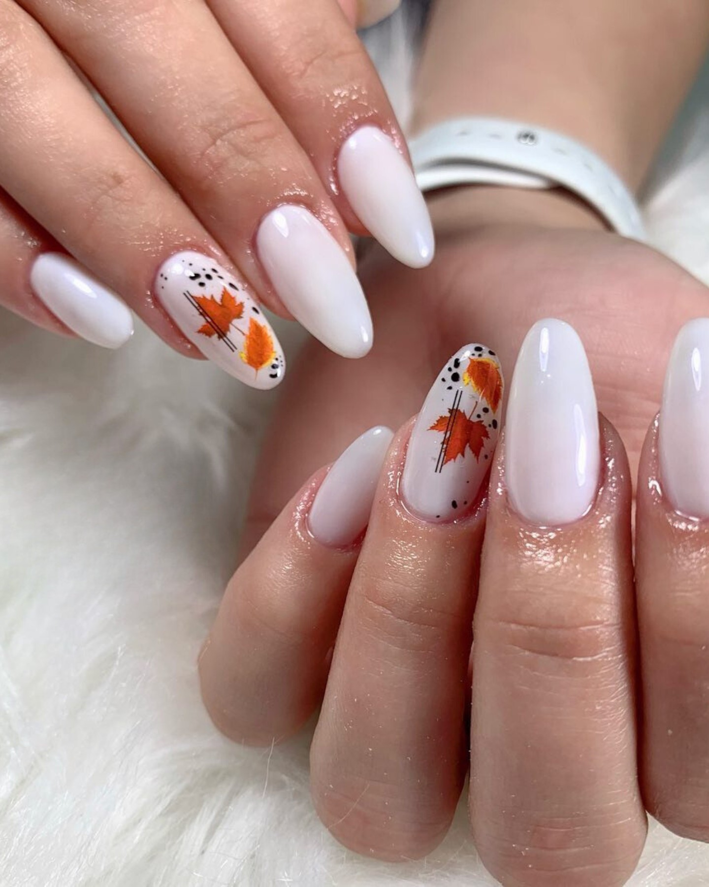 White Elegance: Falling Leaves and Dots