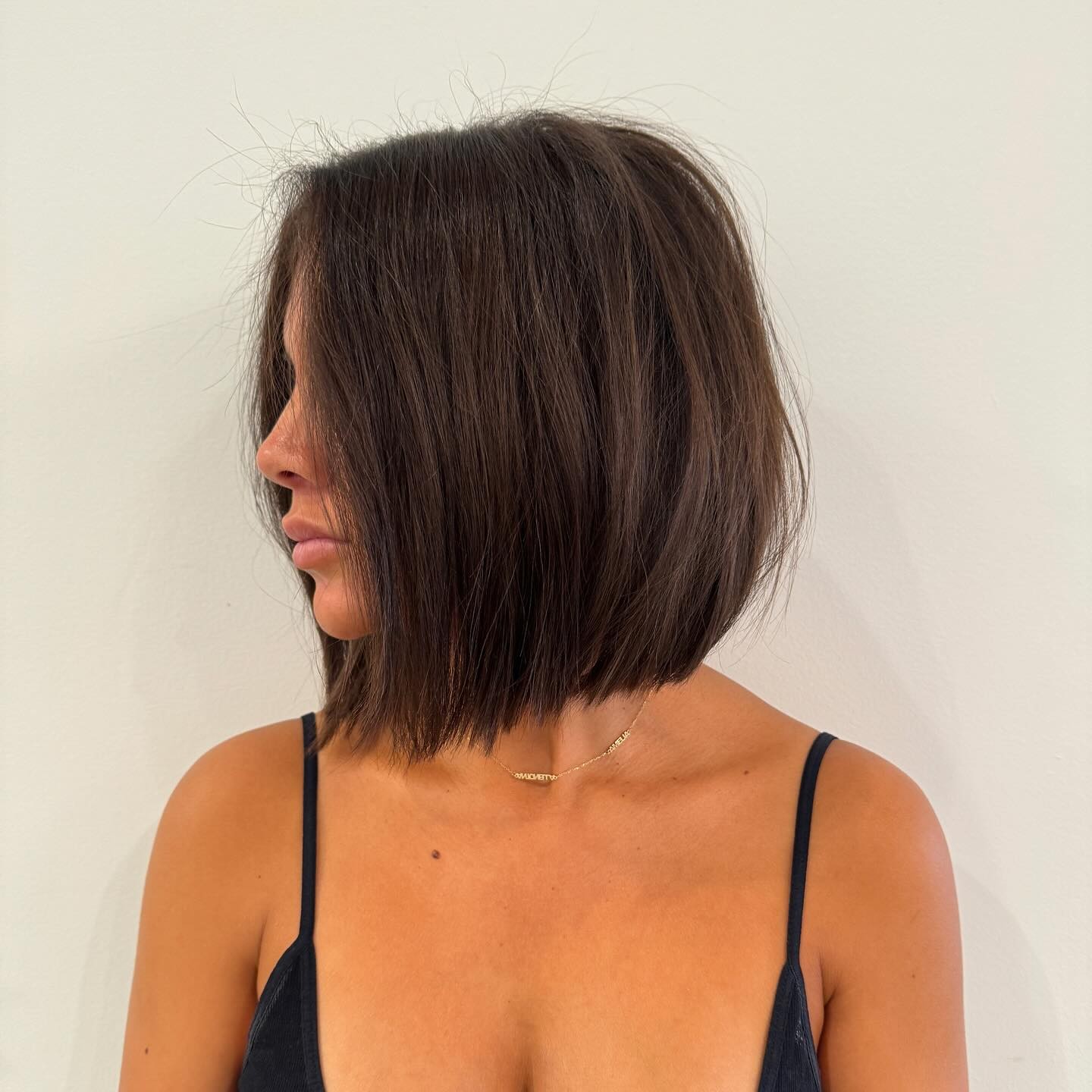 Dark and Defined Mini Bob