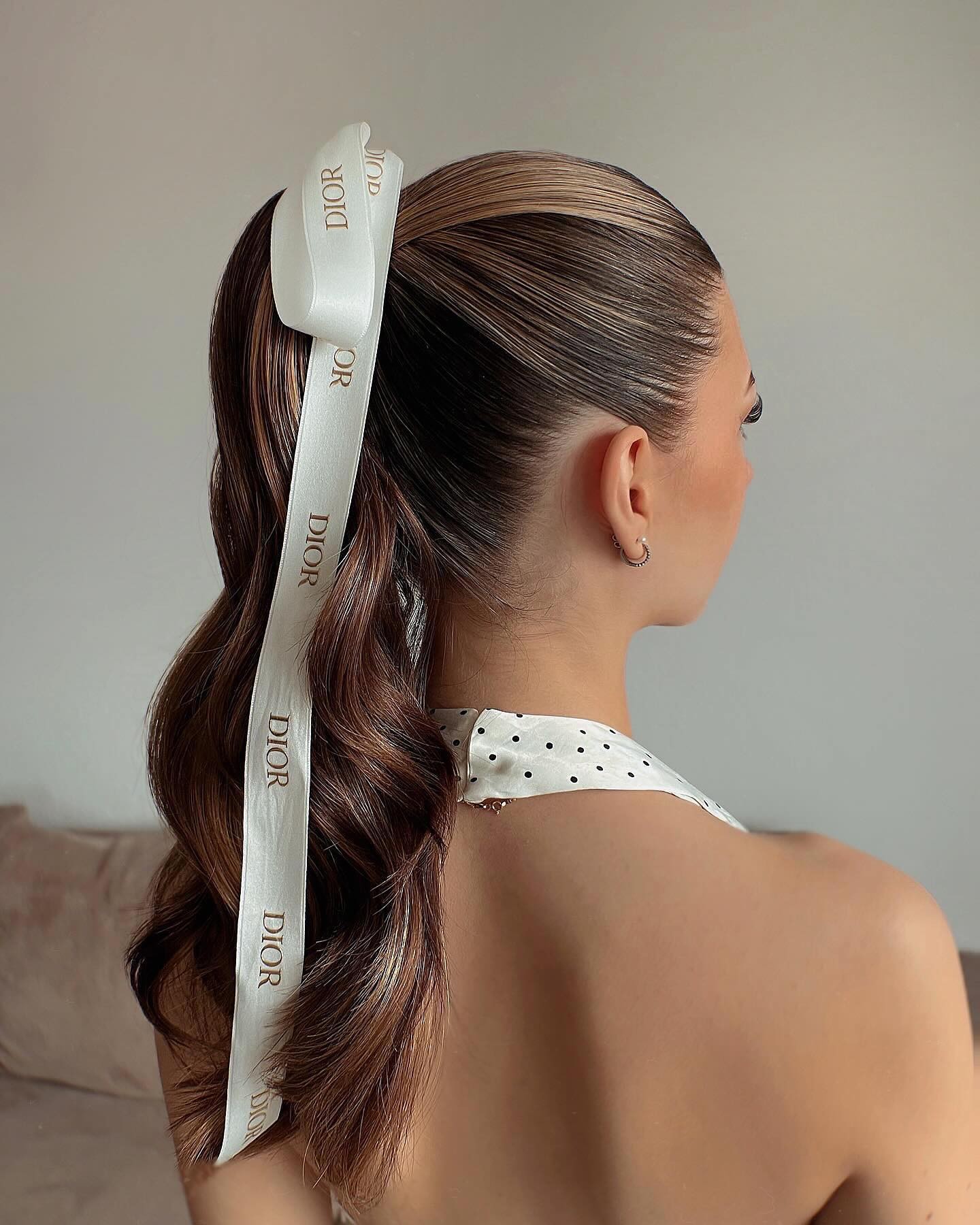 Sleek and Stylish Ponytail with Designer Accents