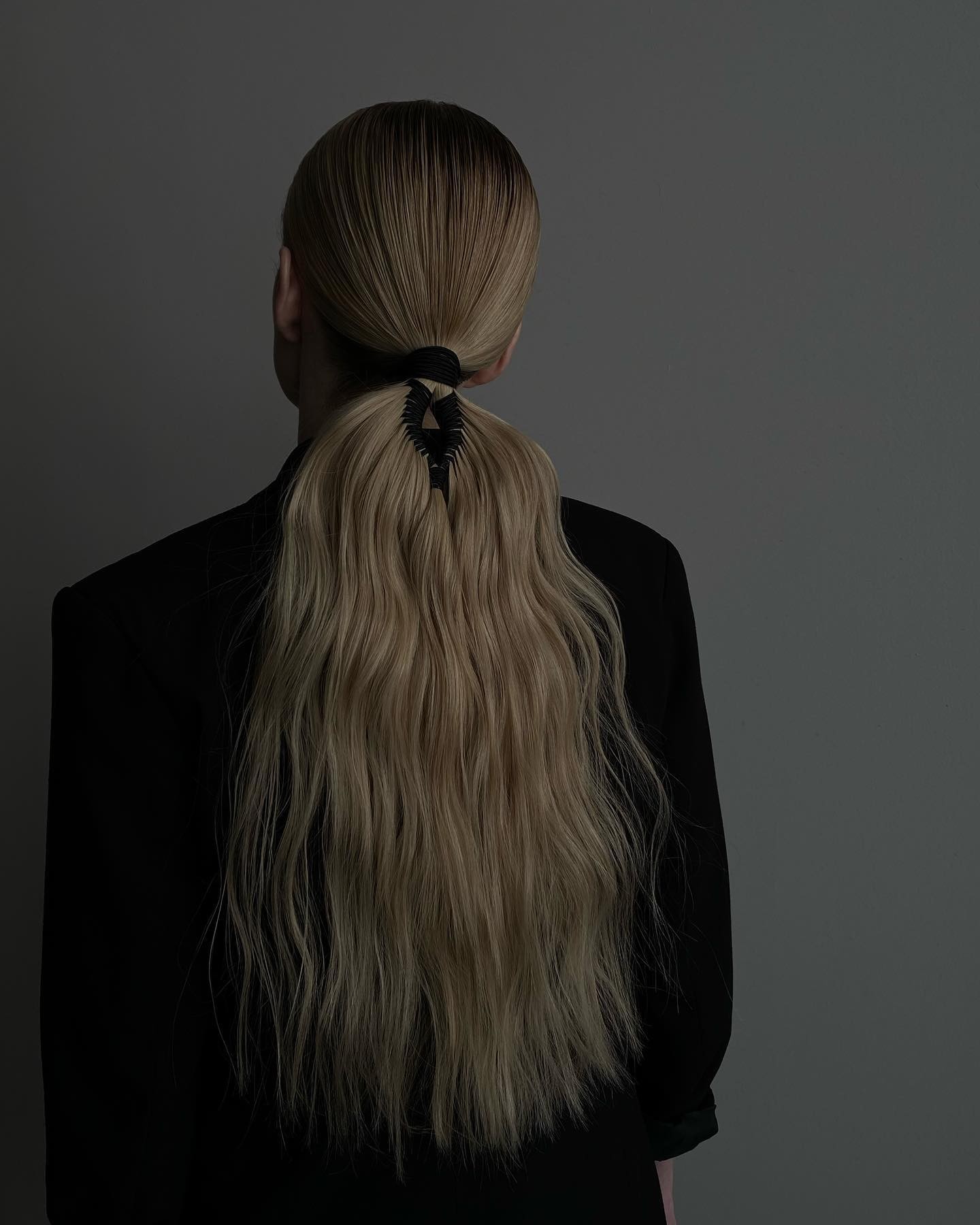 Elegant Sleek Ponytail